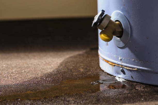 Best Water damage cleanup near me  in Groveton, VA