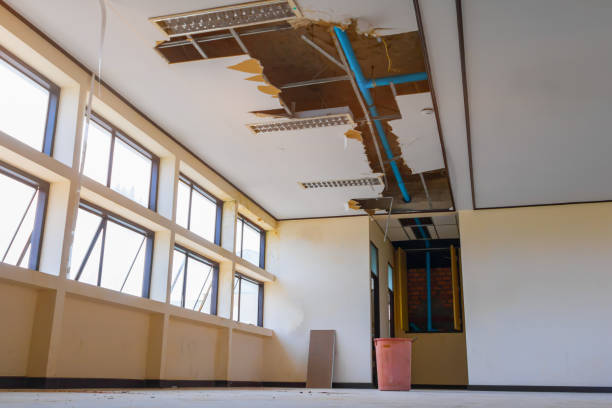 Best Flooded house restoration  in Groveton, VA
