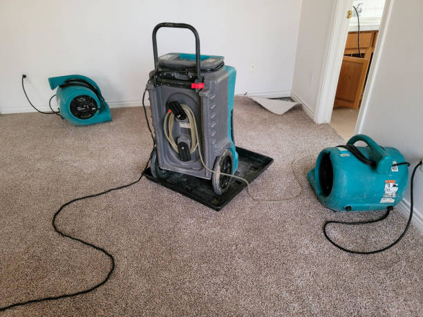 Best Water damage restoration near me  in Groveton, VA