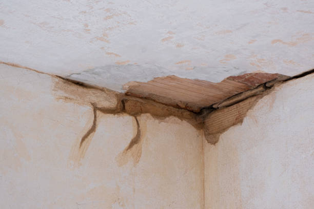 Best Water damage restoration experts  in Groveton, VA
