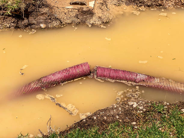 Best Professional water damage repair  in Groveton, VA